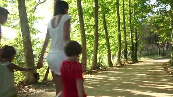 Семья с детьми на прогулке на природе — стоковое видео