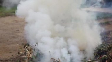 Yakma tesisleri bahçesinde