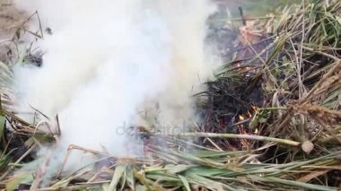 Yakma tesisleri bahçesinde