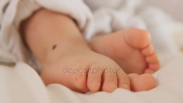 Adorable cute baby feet — Stock Video