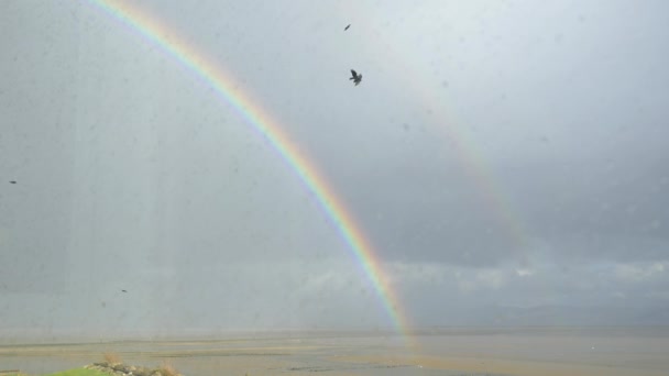 Arco iris elevándose en el cielo — Vídeos de Stock