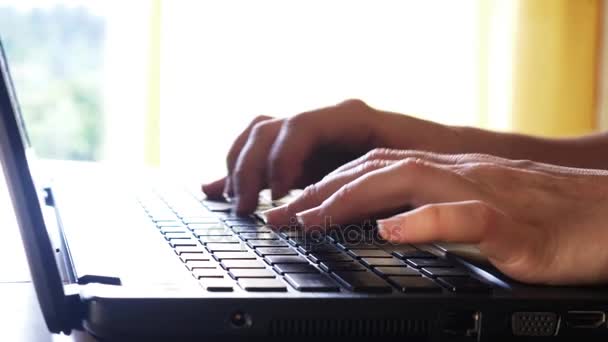 Typen op laptop toetsenbord — Stockvideo