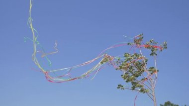 Ağaçta sallayarak şeritler