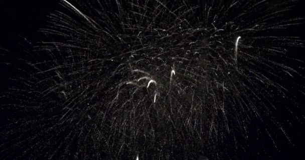 Φωτεινά πυροτεχνήματα στο νυχτερινό ουρανό — Αρχείο Βίντεο