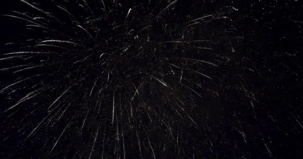 Fuochi d'artificio luminosi nel cielo notturno — Video Stock