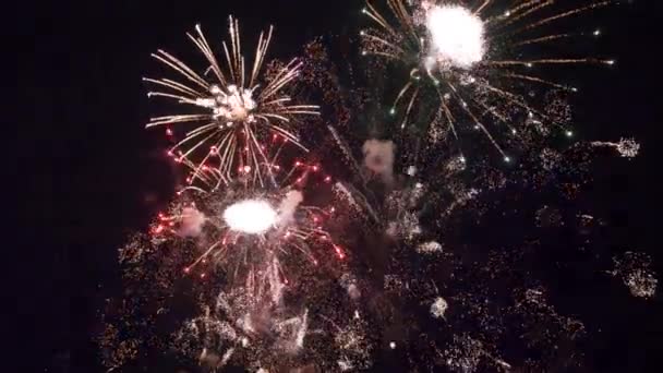 Fuegos artificiales brillantes en el cielo nocturno — Vídeo de stock