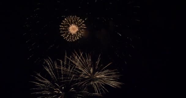 Bright fireworks in night sky — Stock Video