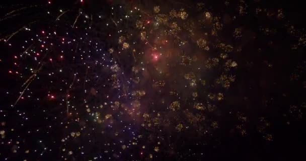 Bright fireworks in night sky — Stock Video