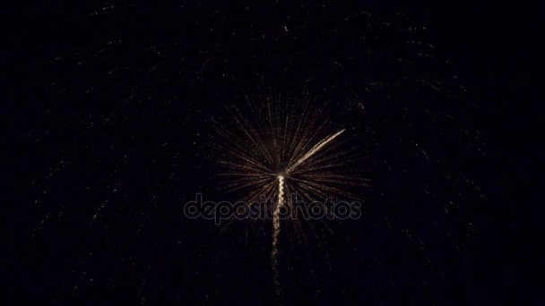 Fuochi d'artificio luminosi nel cielo notturno — Video Stock