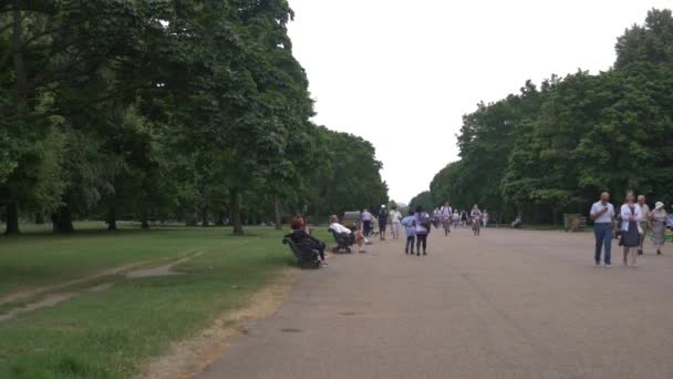 2017年6月23日 匿名人漫步在英国公园 放松假日游客典型的英格兰公园 — 图库视频影像