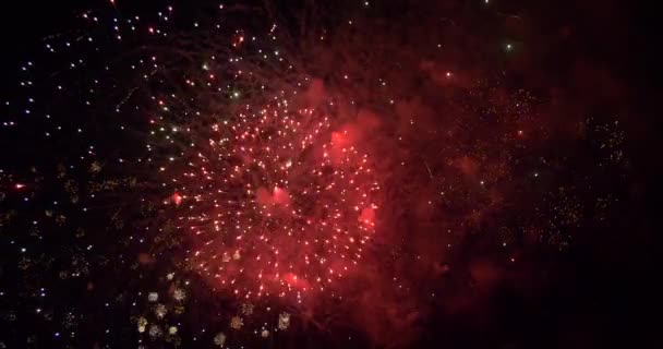 Helder vuurwerk in de nachtelijke hemel — Stockvideo