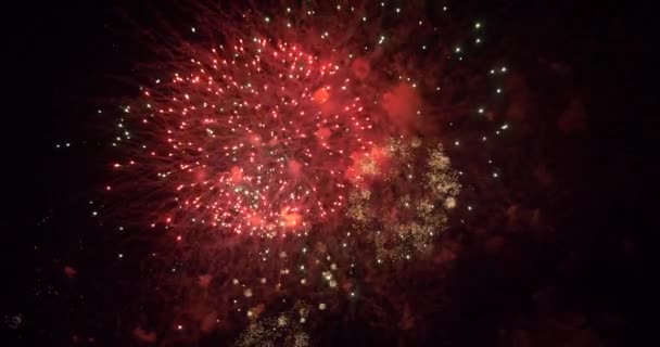 Яркий фейерверк в ночном небе — стоковое видео