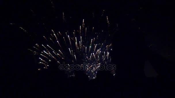 Fuegos artificiales brillantes en el cielo nocturno — Vídeo de stock