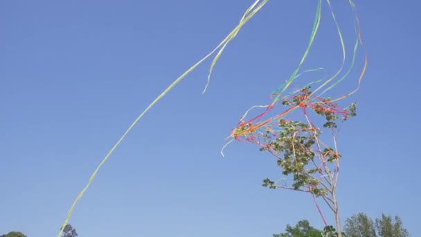 Κορδέλες κυματίζει πάνω σε ένα δέντρο — Αρχείο Βίντεο