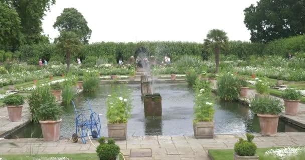 Londres Inglaterra Junio 2017 Jardinero Trabajando Jardín Conmemorativo Lady Diana — Vídeos de Stock