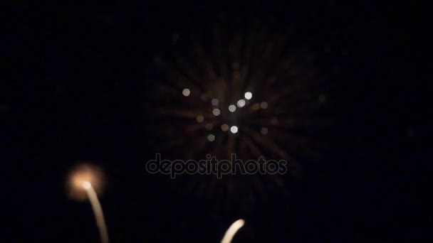 Feux d'artifice lumineux dans le ciel nocturne — Video