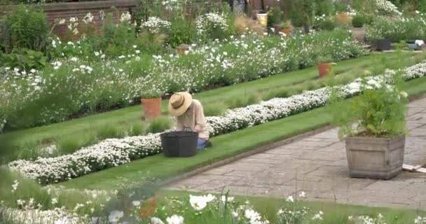 Londen Engeland Juni 2017 Tuinman Werken Lady Diana Memorial Garden — Stockvideo