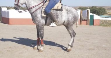 kadın ata tırmanıyor 