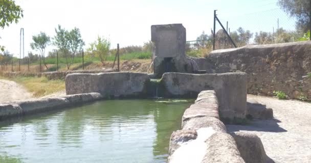 Fontana Rurale Piccolo Villaggio Acqua Limpida Verde Costruzione Tradizionale Fresca — Video Stock