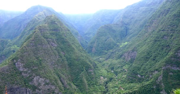 Montanhas Tropicais Terreno Extremo Verde Folhagem Floresta Densa Ilha Reunião — Vídeo de Stock