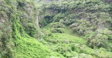 reunion Adası, şaşırtıcı doğa manzara, yemyeşil orman güneşli yaz gününde büyük Dağları üzerinde büyüyen aşırı arazi, yeşil yoğun orman bitki örtüsü ile tropikal Dağları