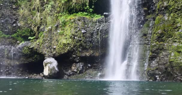 Waterval Tropische Natuur Landschap Kracht Van Pure Groene Energie Natuurlijke — Stockvideo