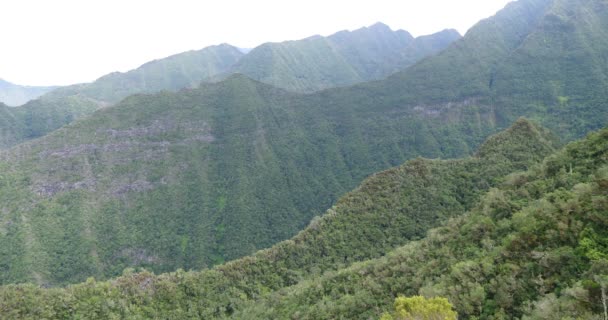 快速移动的云彩在山热带植被 壮观的风景在薄雾背景 巨大大山背景 — 图库视频影像