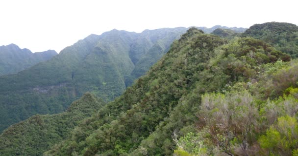 Fast Moving Clouds Mountains Tropical Vegetation Amazing Landscapes Misty Background — Stock Video