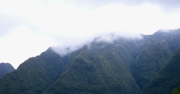 Nubes Que Mueven Rápidamente Sobre Las Montañas Vegetación Tropical Paisajes — Vídeos de Stock