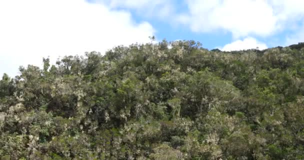 Nubes Que Mueven Rápidamente Sobre Las Montañas Vegetación Tropical Paisajes — Vídeos de Stock