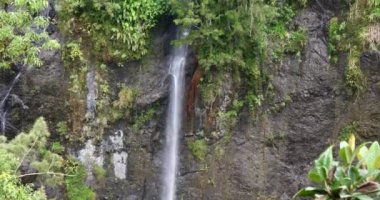 şelale tropikal doğa manzara, doğal kaynaklar, saf yeşil enerji, güzel sakin çevre güç güçlü aqua su düşmek cascade, Milli Parkı korumalı alan göl ve nehir