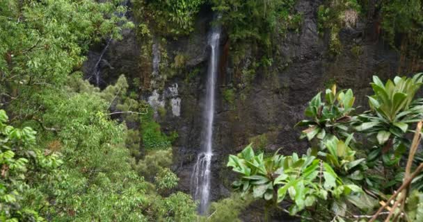 Waterval Tropische Natuur Landschap Kracht Van Pure Groene Energie Natuurlijke — Stockvideo