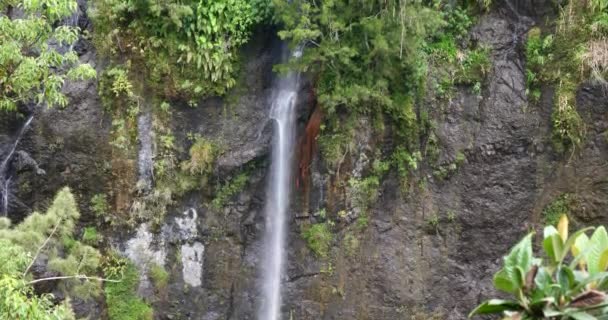Водопад Тропическом Природном Ландшафте Сила Природных Ресурсов Чистая Зеленая Энергия — стоковое видео