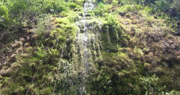 Vattenfall Tropiska Natur Landskap Makt Naturresurser Ren Grön Energi Vackra — Stockvideo