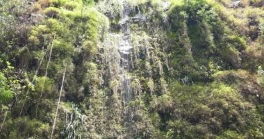 şelale tropikal doğa manzara, doğal kaynaklar, saf yeşil enerji, güzel sakin çevre güç güçlü aqua su düşmek cascade, Milli Parkı korumalı alan göl ve nehir