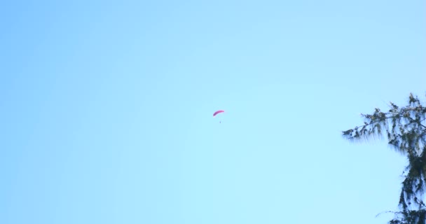 Paraglider Flyga Över Fantastiska Strand Hav Landskap Paraglida Solig Sommardag — Stockvideo