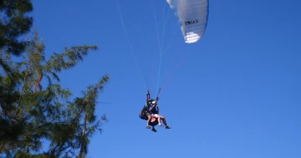 滑翔伞飞越令人惊叹的海滩海景色 Paraglide 在阳光明媚的夏日上空飞越热带岛屿 冒险极限运动 — 图库视频影像