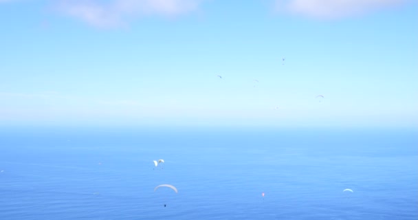 Парапланеристы Летают Над Удивительным Пляжным Морским Ландшафтом Параплавают Солнечный Летний — стоковое видео