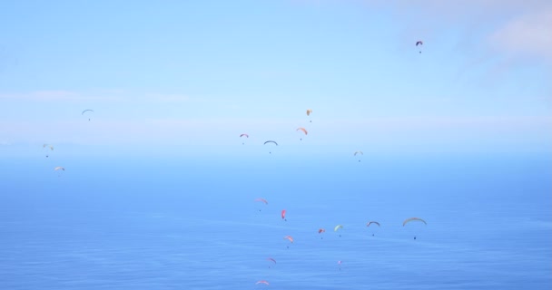 Los Parapentes Vuelan Sobre Increíble Paisaje Marino Playa Deslizan Soleado — Vídeo de stock