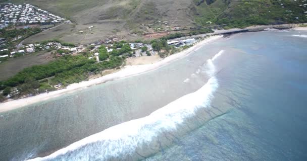 Параглідер Літає Над Дивовижним Пляжним Морським Пейзажем Парапланом Сонячний Літній — стокове відео