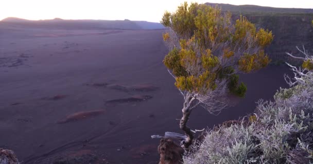 Dramatische Oberfläche Vulkankrater Schwarze Landschaft Und Vegetation Wiedervereinigung Inaktive Ruhige — Stockvideo