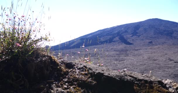 Dramático Cráter Volcánico Superficie Paisaje Negro Reunión Vegetación Isla Tropical — Vídeos de Stock