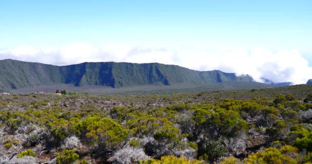 Krater Wulkan Powierzchni Czarny Krajobraz Roślinność Reunion Nieaktywne Spokojny Tropikalny — Wideo stockowe