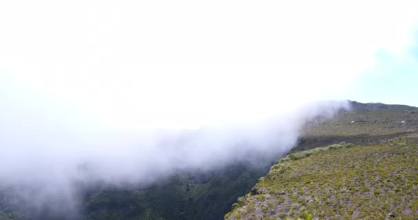 快速移动的云彩在山热带植被 壮观的风景在薄雾背景 巨大大山背景 — 图库视频影像