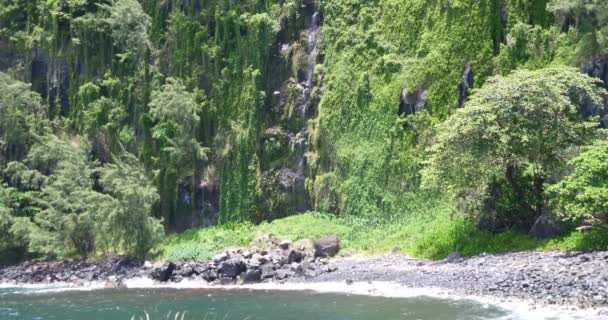 Playa Tropical Selva Vegetación Verde Salvaje Isla Perdida Náufrago — Vídeos de Stock