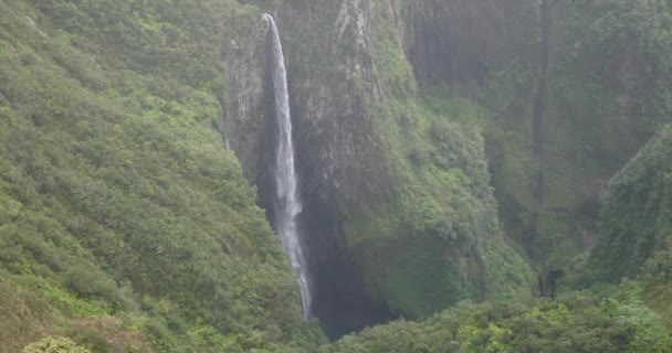 Cascada Paisaje Naturaleza Tropical Poder Los Recursos Naturales Energía Verde — Vídeo de stock