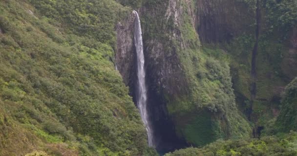 Waterval Tropische Natuur Landschap Kracht Van Natuurlijke Hulpbronnen Pure Groene — Stockvideo