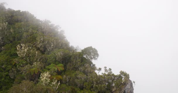 Nopeasti Liikkuvat Pilvet Vuorten Yli Trooppinen Kasvillisuus Hämmästyttävä Maisemia Usvainen — kuvapankkivideo