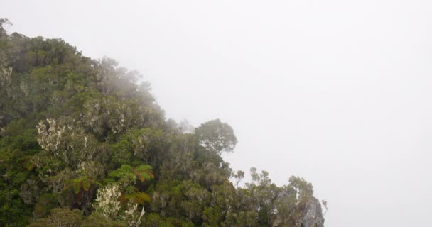 Snabb Rörliga Moln Över Bergen Tropisk Vegetation Fantastiska Landskap Dimmiga — Stockvideo