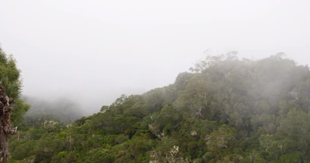 快速移动的云彩在山热带植被 壮观的风景在薄雾背景 巨大大山背景 — 图库视频影像